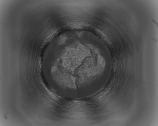 X0000097650590200803280931