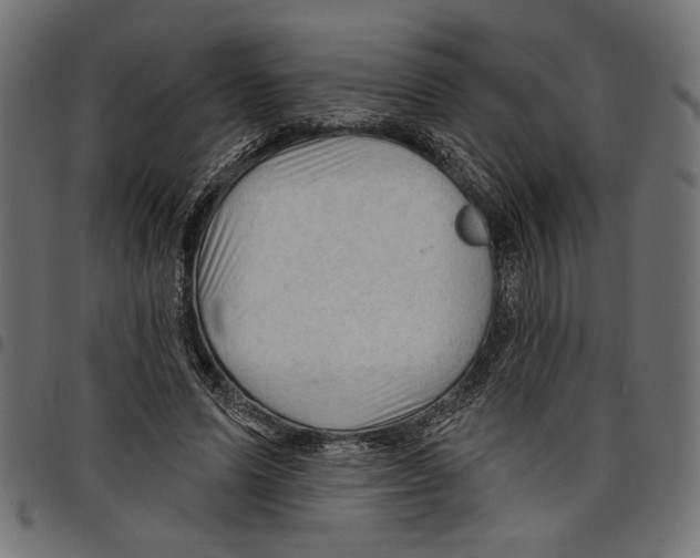 X0000097650591200803280931