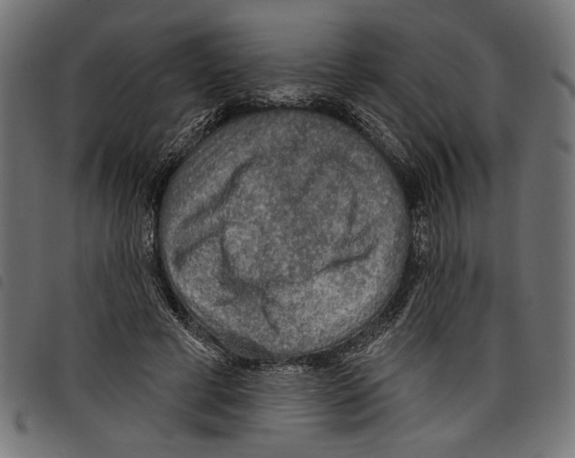 X0000097650593200803280931