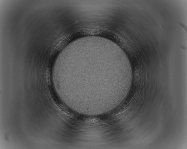 X0000097650594200803280931