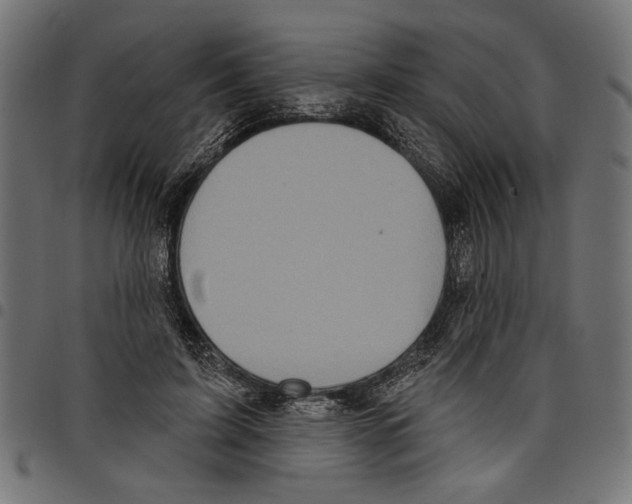 X0000097650595200803280931