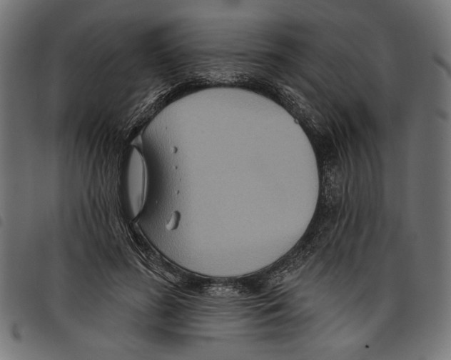 X0000097650596200803280931