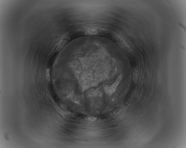 X0000097650598200803280931