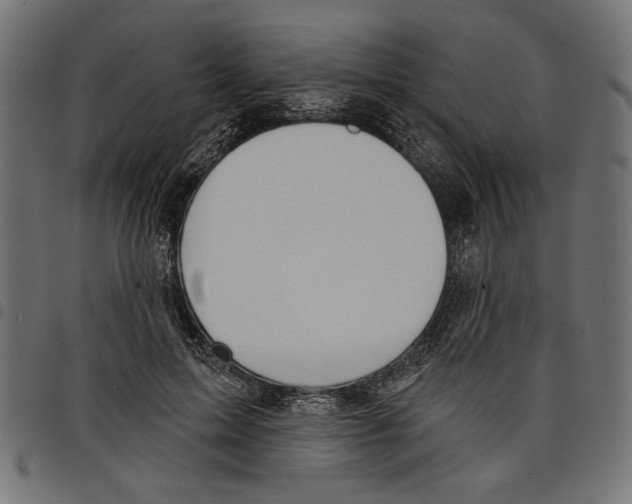 X0000097650599200803280931