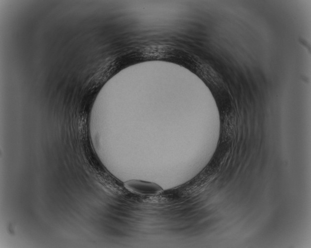 X0000097650601200803280931