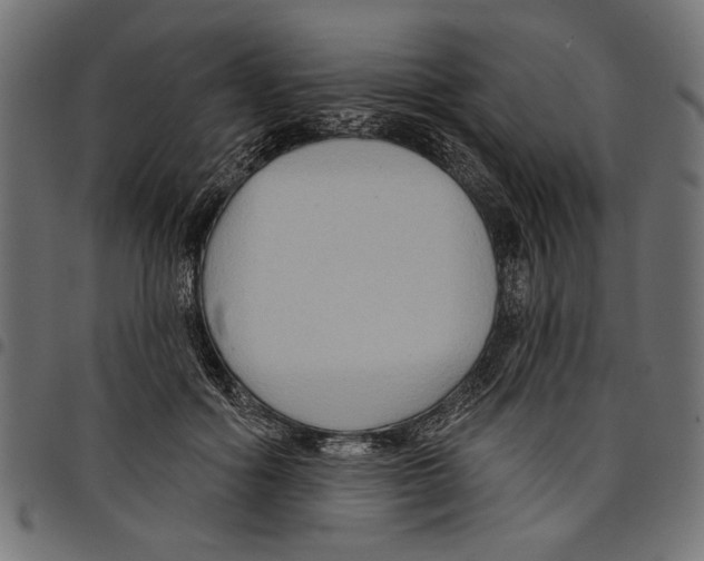 X0000097650602200803280931