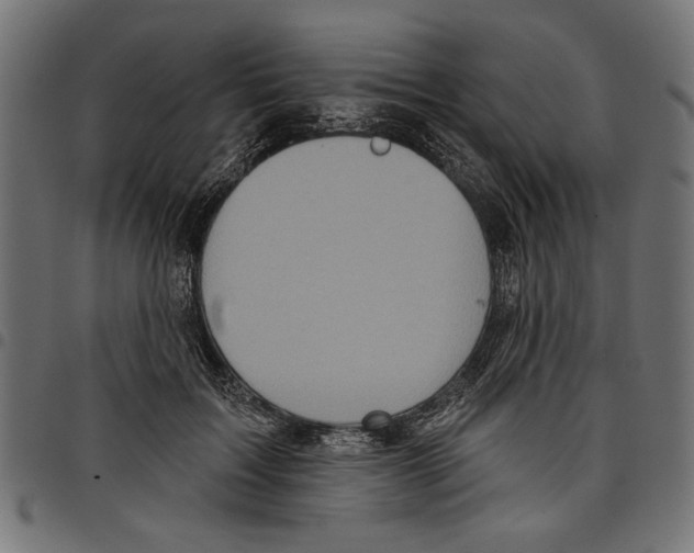 X0000097650603200803280931