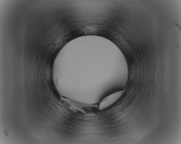 X0000097650604200803280931