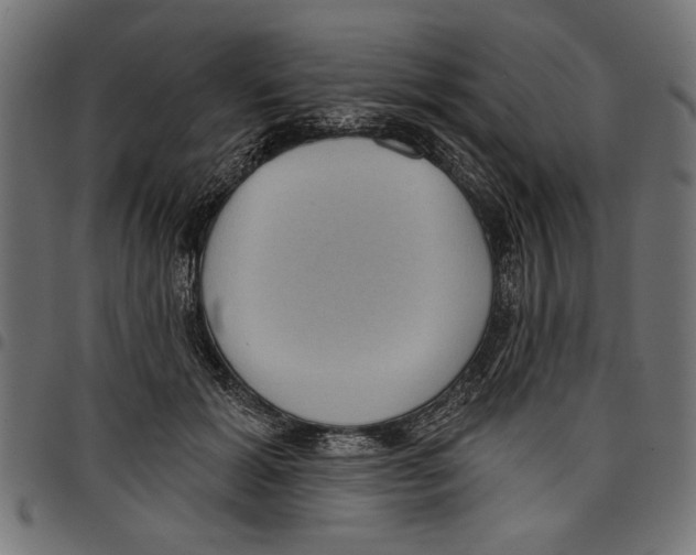 X0000097650605200803280931