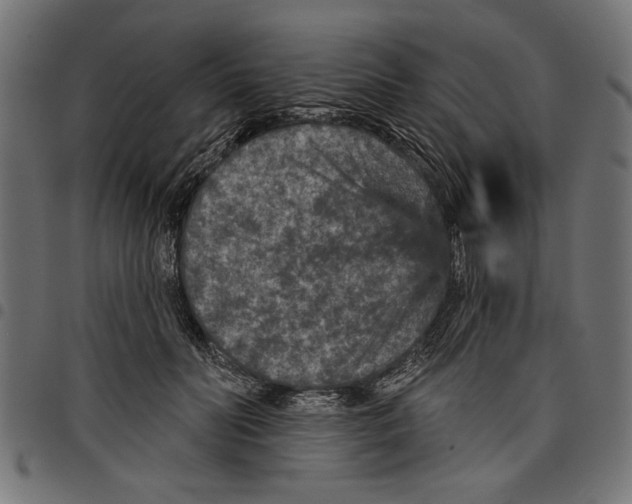 X0000097650606200803280931