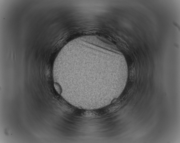 X0000097650608200803280930