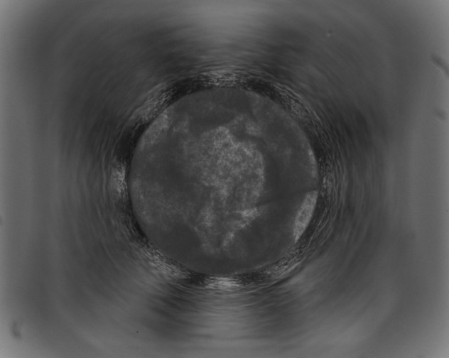 X0000097650610200803280930