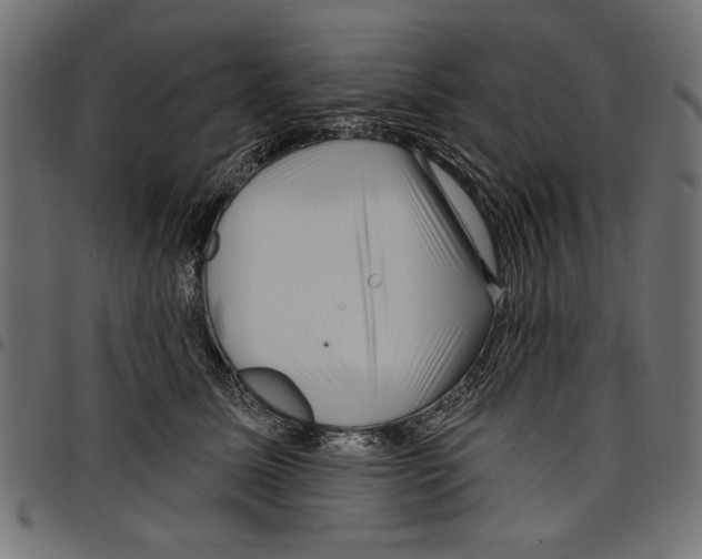 X0000097650611200803280930