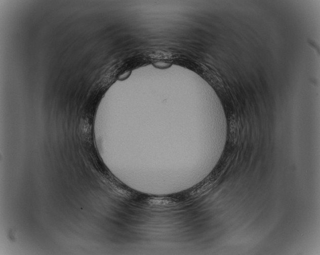 X0000097650614200803280930