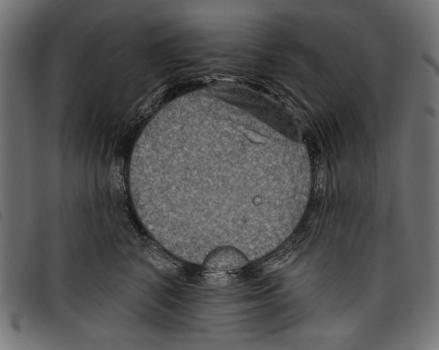 X0000097650616200803280930