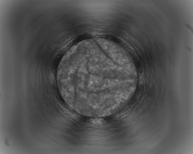 X0000097650618200803280930