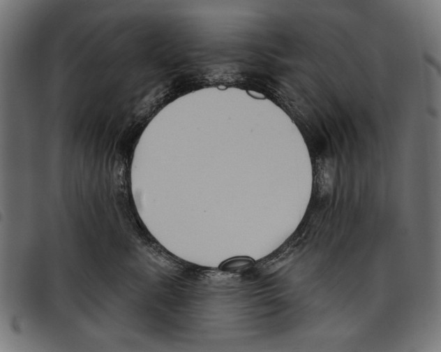 X0000097650619200803280930