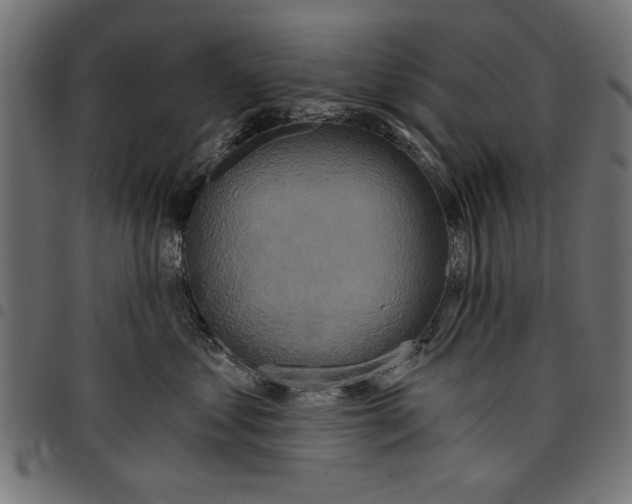 X0000097650621200803280930