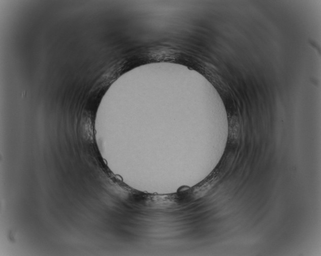 X0000097650622200803280930