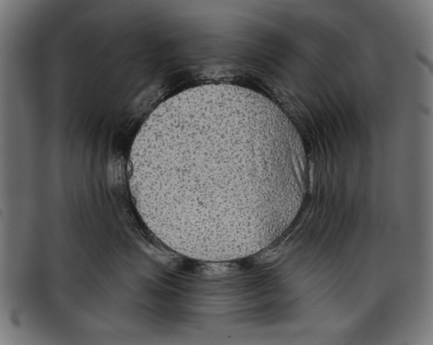 X0000097650623200803280930