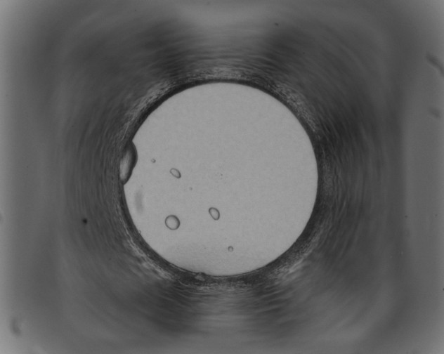 X0000097650625200803280929