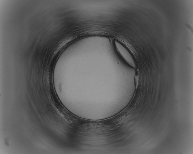 X0000097650626200803280929