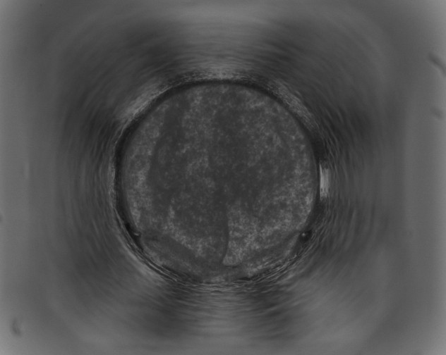 X0000097650627200803280929