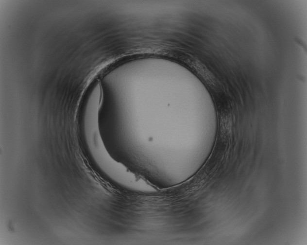 X0000097650628200803280929