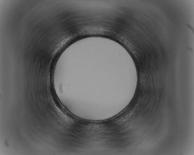 X0000097650629200803280929