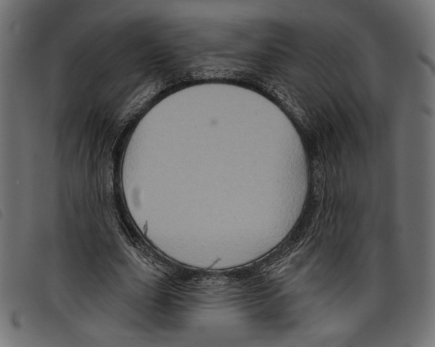 X0000097650631200803280930