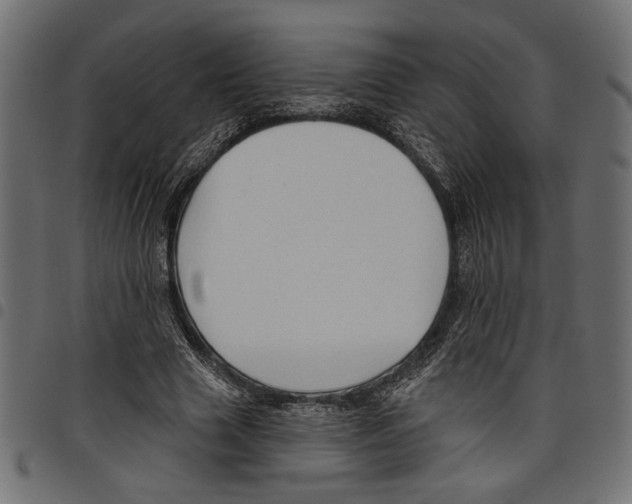 X0000097650633200803280930