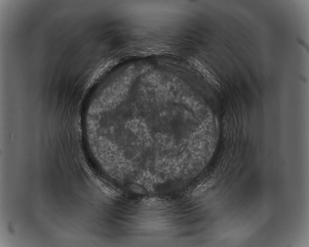 X0000097650634200803280930