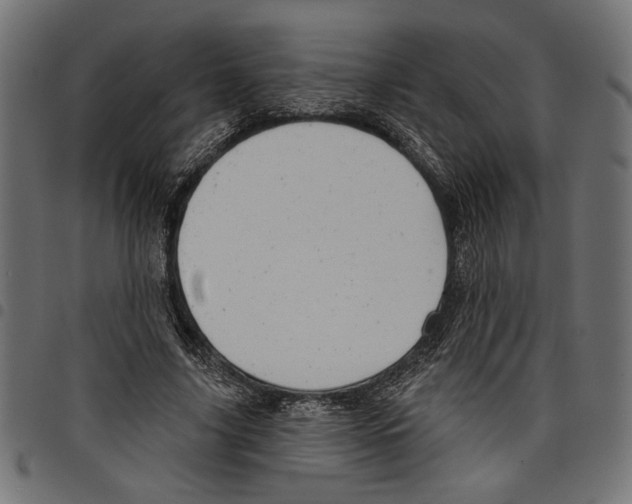 X0000097650635200803280930