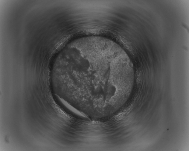 X0000097650637200803280930