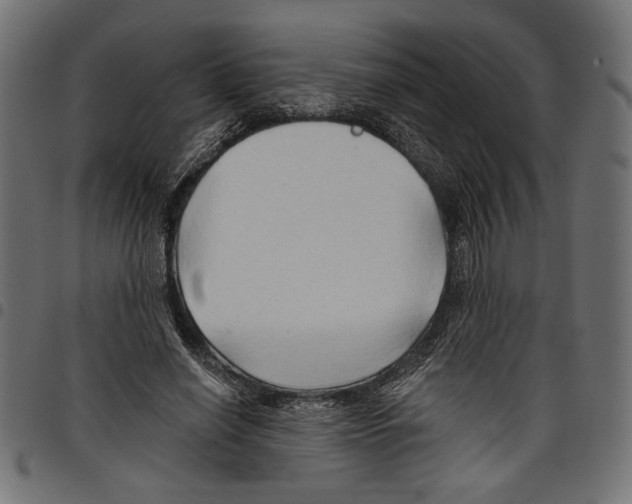 X0000097650638200803280930