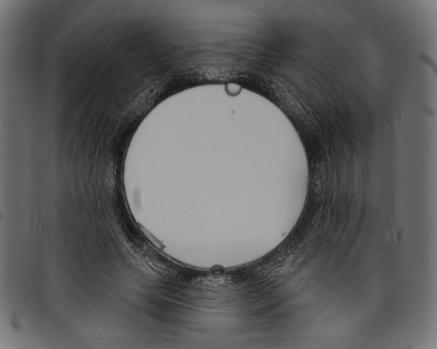 X0000097650639200803280930