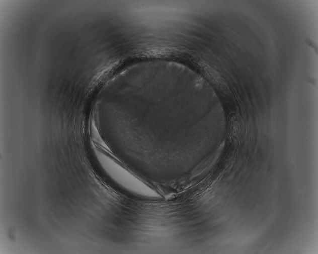 X0000097650640200803280930