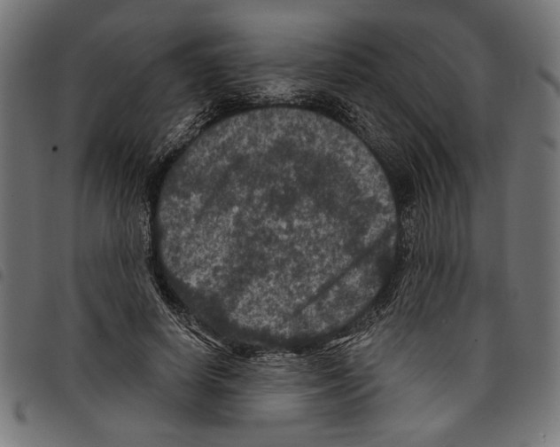 X0000097650642200803280930