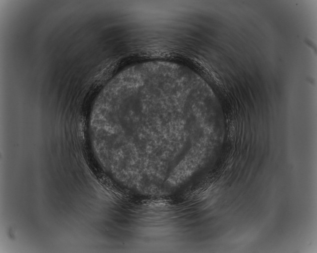 X0000097650643200803280930