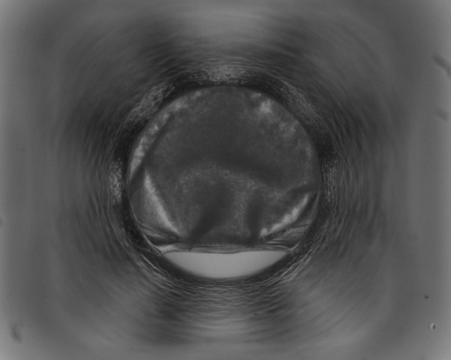 X0000097650644200803280930