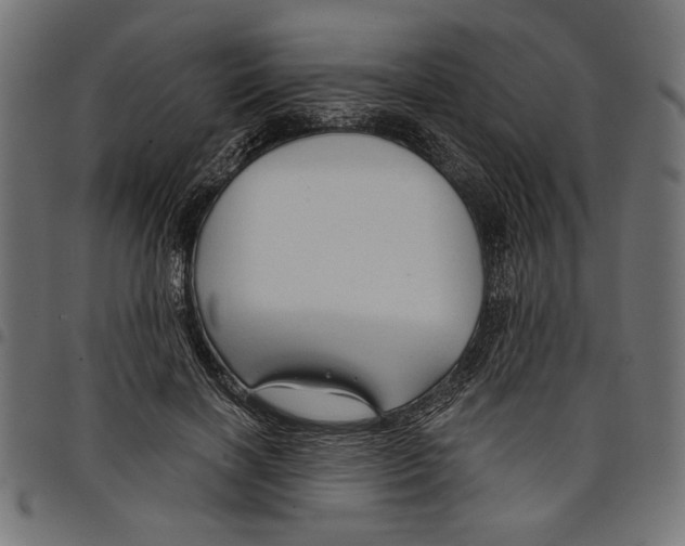 X0000097650646200803280930