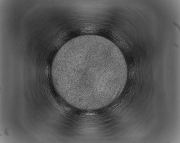 X0000097650647200803280930