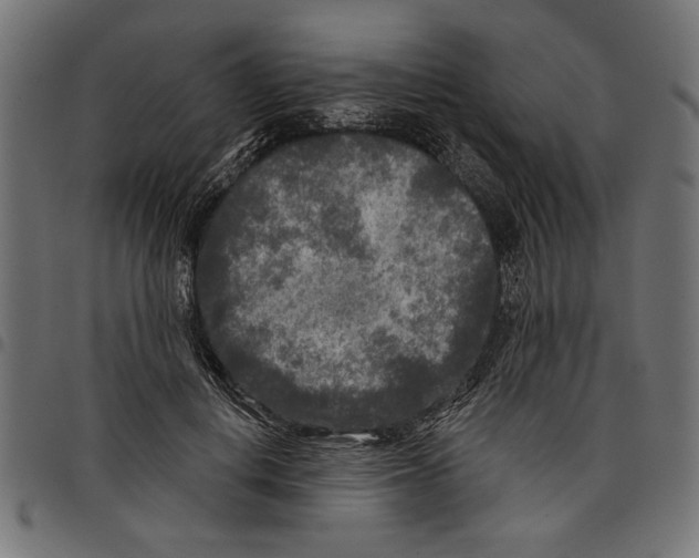 X0000097650648200803280930