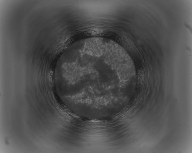 X0000097650650200803280930