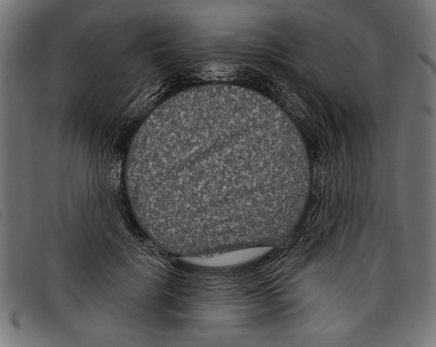 X0000097650652200803280930