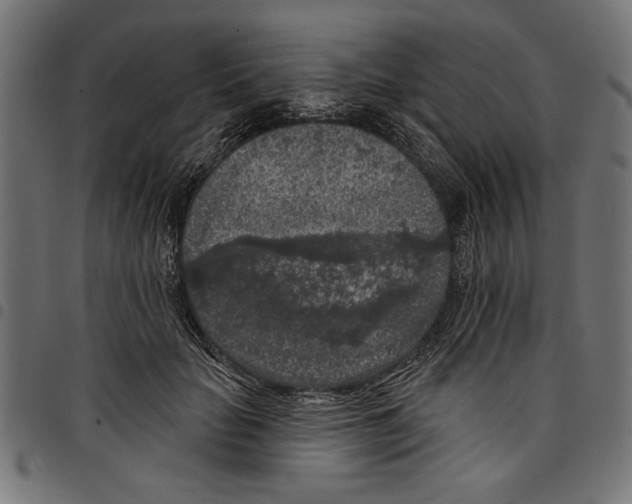 X0000097650653200803280930