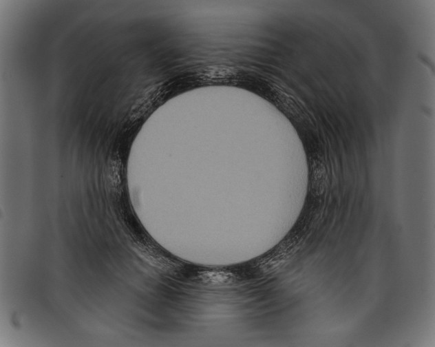 X0000097650654200803280930