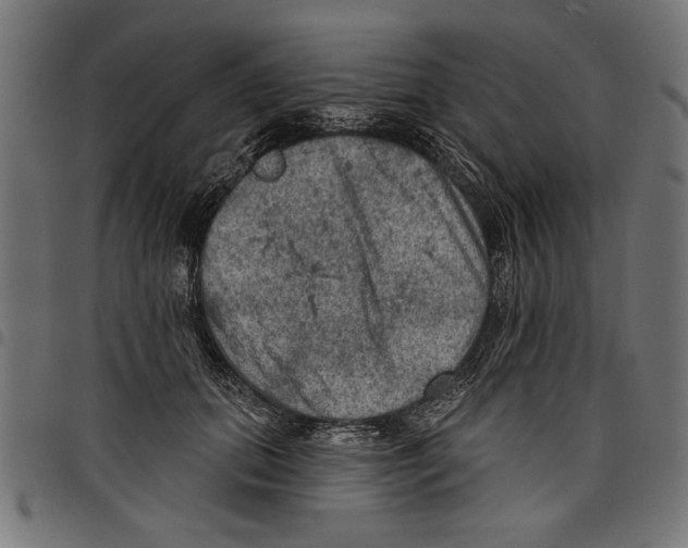 X0000097650655200803280930