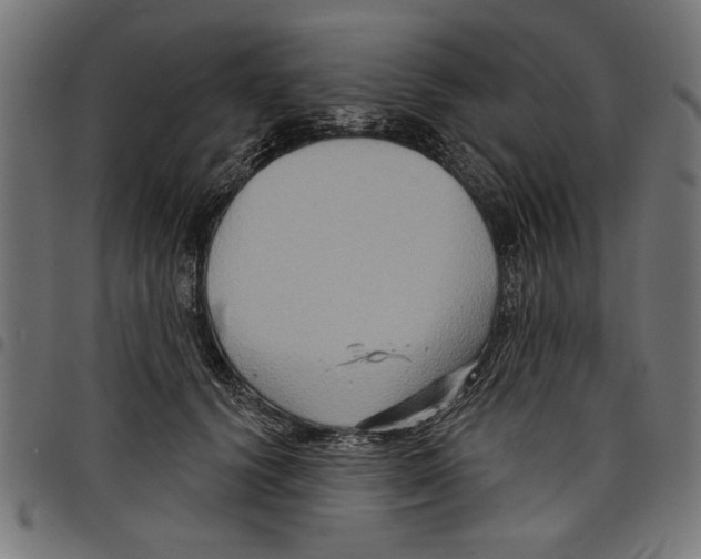 X0000097650656200803280930