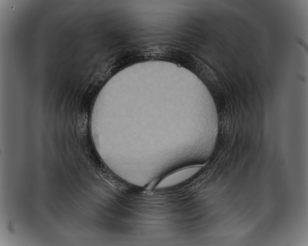 X0000097650660200803280930